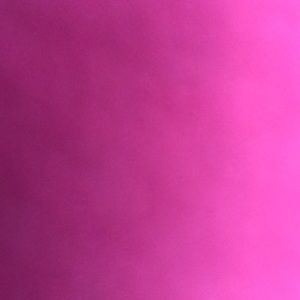 Meet your Posher, Amina